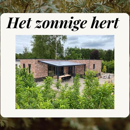Het Zonnige Hert Ermelo Luaran gambar