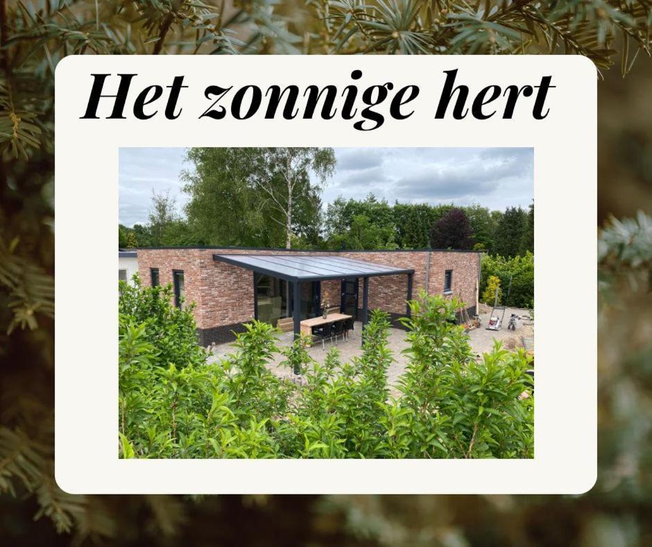 Het Zonnige Hert Ermelo Luaran gambar